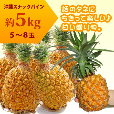 スナックパイン(5kg前後)沖縄産 パイン 食品 フルーツ 果物 パイナップル 高糖度 甘い 送料無料