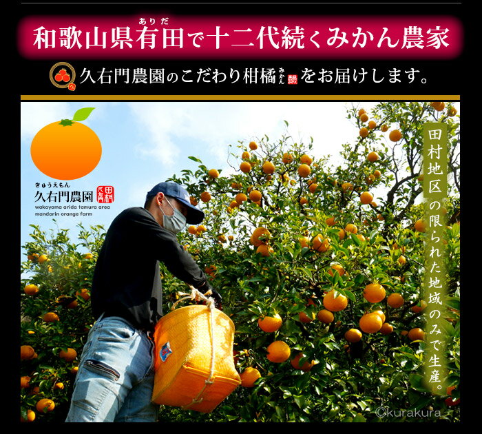 久右門農園 バレンシアオレンジ 訳あり ご家庭用 (約5kg) 和歌山県 有田郡 湯浅町産 国産 バレンシア オレンジ おれんじ valencia orange 自宅用 5キロ きゅうえもん 田村地区 甘い 人気 男性 女性 喜ばれる 2025 食品 フルーツ 果物 みかん 高糖度 甘い 柑橘 送料無料