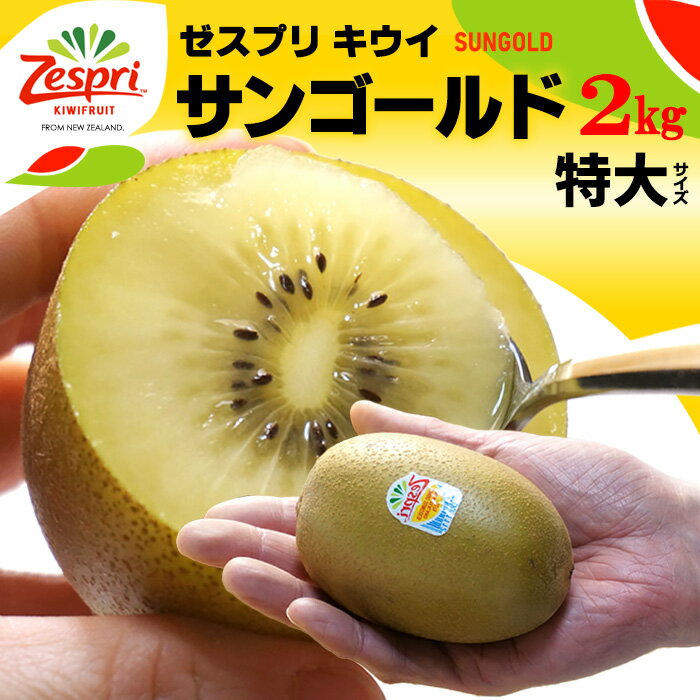 ץ 󥴡ɥ (12/2kg) ˥塼ɻ  big     ե롼 kiwi 奦  ե롼 ʪ ե롼 涡  ̵