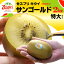 ץ 󥴡ɥ (12/2kg) ˥塼ɻ  big     ե롼 kiwi 奦  ե롼 ʪ ե롼 涡  ̵