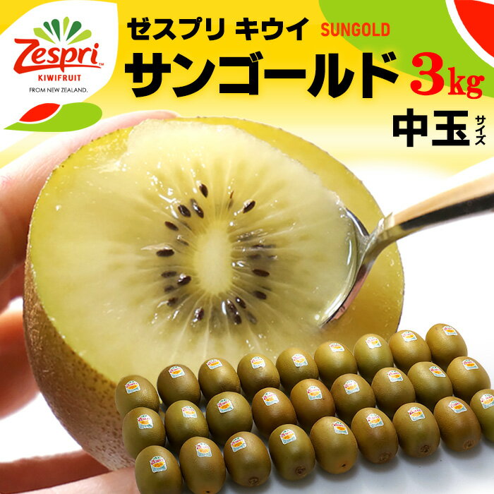 ゼスプリ サンゴールドキウイ (26玉前後/約3kg) ニュージーランド産 大玉 ゴールド キウイ キウイフルーツ kiwi キュウイ 食品 フルーツ 果物 キウイフルーツ 御供え お供え 送料無料