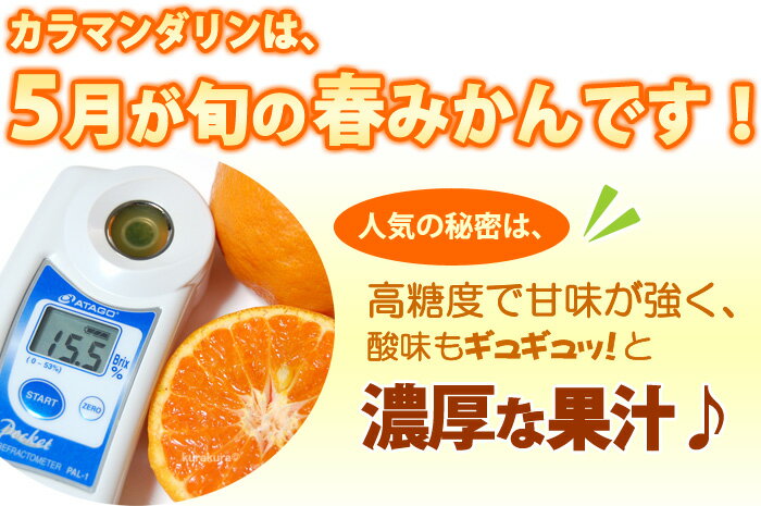 ����ޥ����� (��5kg) �²λ���/��ɲ��/���Ż� �Ľ� 5���� �դߤ��� ���顼 �����ߤ��� �� ���󥰥ޥ����� mandarin ���� ���� �ե롼�� ��ʪ �ߤ��� ����ޥ����� �Ť� �͵� ���� ���� ��Ф�� 2026 ���ե� £�� ��ʪ �涡�� ������ ����̵��