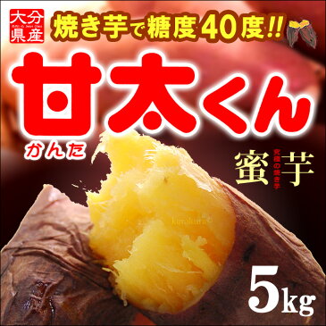 甘太くんM-L(5kg)大分産 紅はるか さつま芋 サツマイモ 甘藷 焼き芋 焼いも 薩摩芋 送料無料