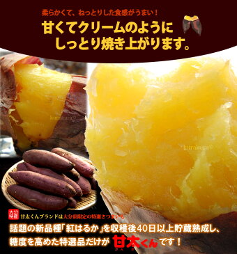 甘太くんM-L(5kg)大分産 紅はるか さつま芋 サツマイモ 甘藷 焼き芋 焼いも 薩摩芋 送料無料