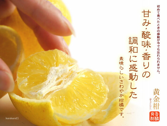 ���ⴻ (��700g) �����绺 �������󤫤� ��̪�� �ߤ��� �������� ���� �ե롼�� ��ʪ �ߤ��� ����Ȣ ���ե� £�� �涡�� ������ �Ť� �͵� ���� ���� ��Ф�� 2026 ����̵��