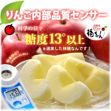サンふじ 福ちゃんりんご(約5kg)青森産 サンふじりんご 特秀 糖度14度以上選果 大玉 ギフト 贈答用 高級 サンフジりんご さんふじりんご リンゴ 林檎 食品 フルーツ 果物 りんご サンふじ 高糖度 甘い 青森りんご 送料無料