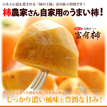 訳あり富有柿(約7.5kg)和歌山九度山産 ふゆう柿 ふゆうがき ご家庭用 ワケアリ 食品 フルーツ 果物 柿 送料無料