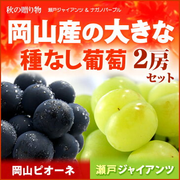 4L限定 瀬戸ジャイアンツ1房×岡山ピオーネ1房(計1.3kg前後)岡山産 ぶどう 大房 大粒 ギフト 贈答用 秀 送料無料