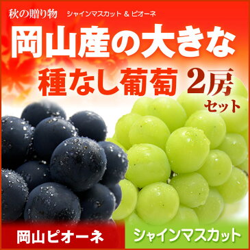 4L限定 シャインマスカット1房×岡山ピオーネ1房(計1.3kg前後)岡山産 ぶどう 大房 大粒 ギフト 贈答用 秀 送料無料