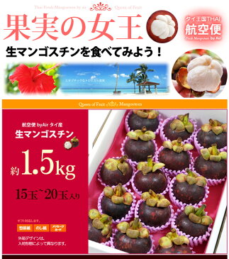 フレッシュ 生マンゴスチン(約1.5kg)タイ産 世界三大美果 甘酸っぱい魅惑のトロピカルフルーツ 食品 フルーツ 果物 マンゴスチン 送料無料