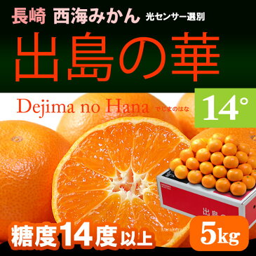 西海みかん 出島の華みかん(5kg)長崎産 贈答用 糖度14度以上 佐世保温州 みかん ミカン 蜜柑 送料無料