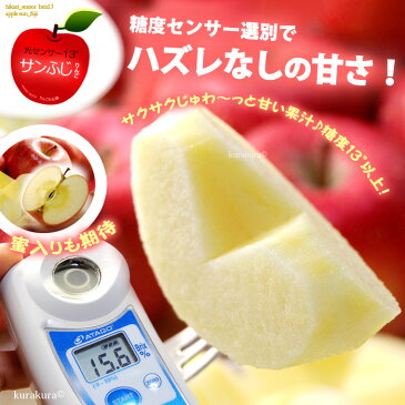サンふじ 糖度13度以上選果(5kg)青森産/岩手産 サンふじりんご 贈答用 ギフト 大玉 高級 サンフジりんご さんふじりんご リンゴ 林檎 食品 フルーツ 果物 りんご サンふじ 高糖度 甘い 送料無料