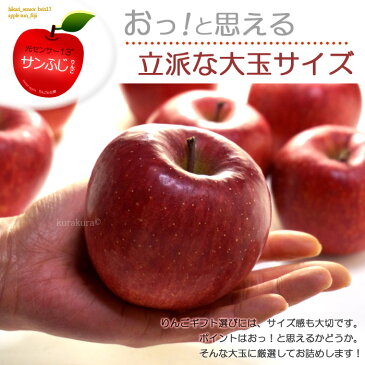 サンふじ 糖度13度以上選果(5kg)青森産/岩手産 サンふじりんご 贈答用 ギフト 大玉 高級 サンフジりんご さんふじりんご リンゴ 林檎 食品 フルーツ 果物 りんご サンふじ 高糖度 甘い 送料無料