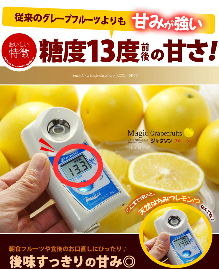 マジックグレープフルーツ ジャクソンフルーツ ...の紹介画像2