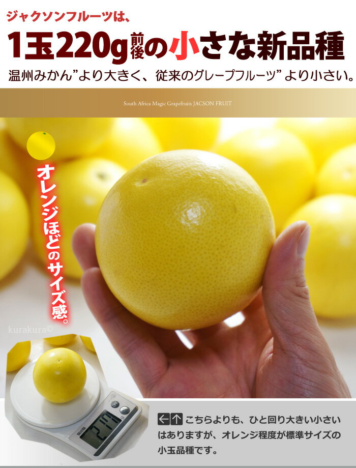 マジックグレープフルーツ ジャクソンフルーツ ...の紹介画像3