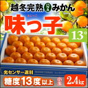 越冬完熟無加温ハウス 味っ子みかん(約2.4kg)長崎産 ハ...