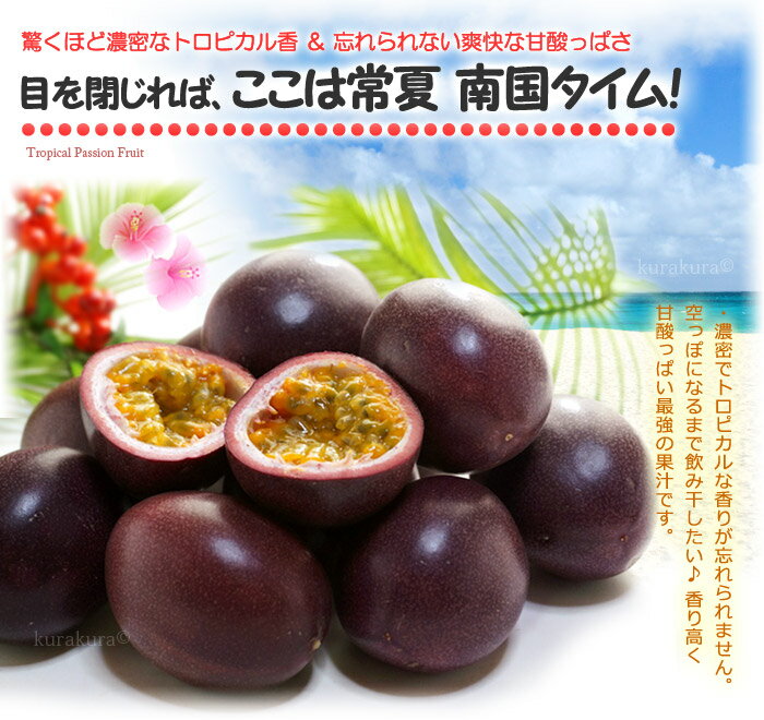 サンプル画像2