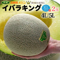 イバラキング 4L-5L×2玉 (約3.3kg) 茨城産 秀品 茨城王 メロン めろん melon 大玉 ...