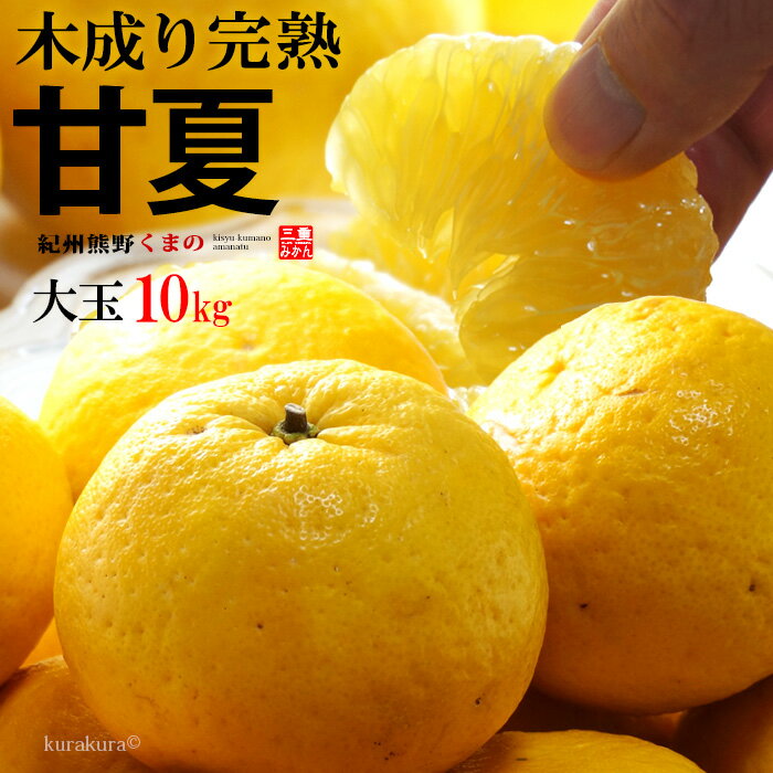 木成り完熟 甘夏みかん 2-3L(約10kg)三重県産 あまなつ 甘夏 夏みかん みかん 大玉 甘い 秀品 高糖度 紀州 熊野 食品 フルーツ 果物 みかん あまなつ 送料無料