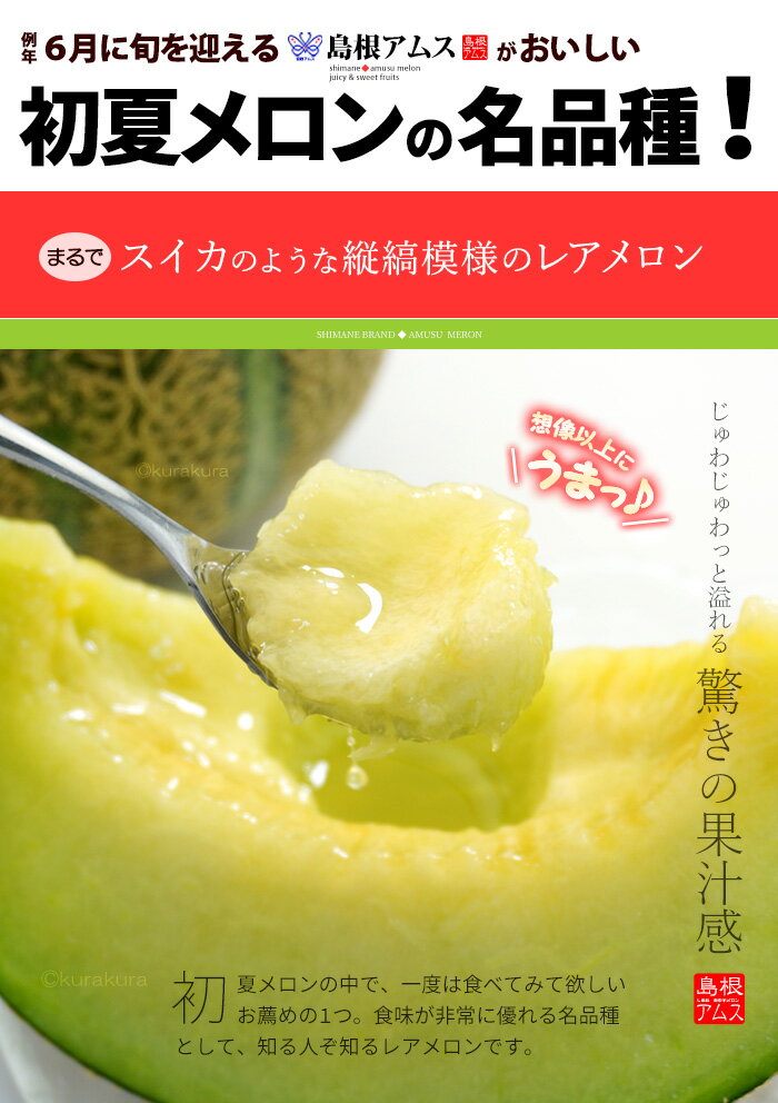 アムスメロン 4L×4玉 (約5kg) 島根産...の紹介画像3