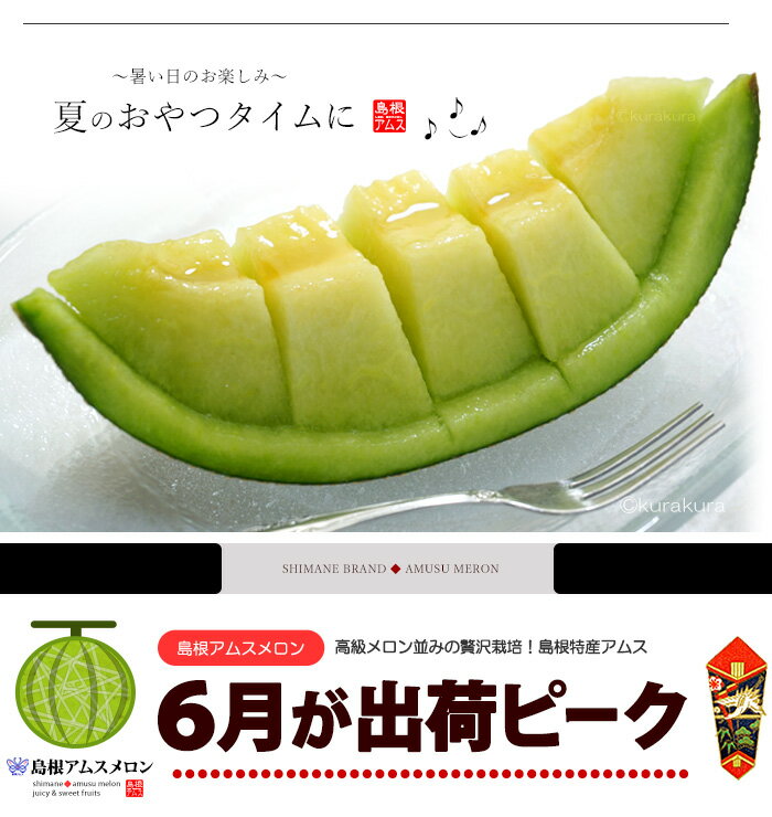 アムスメロン 4L×4玉 (約5kg) 島根産...の紹介画像2