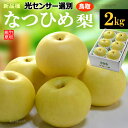 なつひめ梨 5-6玉 (約2kg) 鳥取産 秀品 3L 4L 大玉 糖度選果11.5度以上 なつひめ 夏姫 青梨 梨 なし ナシ pear 二十世紀梨 夏姫 ギフト 贈答用 食品 フルーツ 果物 和梨 残暑見舞い ギフト お供え 御供え 甘い 人気 男性 女性 喜ばれる 2025 送料無料