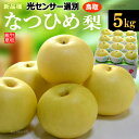 なつひめ梨 12-14玉 (約5kg) 鳥取産 秀品 3L 4L 大玉 糖度選果11.5度以上 なつひめ 夏姫 青梨 梨 なし ナシ pear 二十世紀梨 夏姫 ギフト 贈答用 食品 フルーツ 果物 和梨 残暑見舞い ギフト お供え 御供え 甘い 人気 男性 女性 喜ばれる 2025 送料無料
