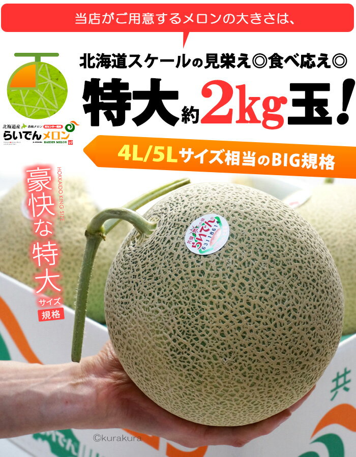 北海道 らいでんメロン 赤肉 特大 (約2kg×1玉) 北海道産 秀品 らいでん レッド ラ...