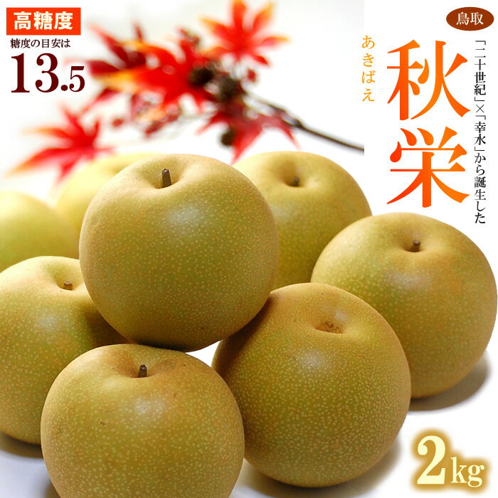 秋栄梨(約2kg)鳥取産 秋栄(あきばえ)は平均糖度13.5度を誇る高糖度赤梨 食品 フルーツ 果物 和梨 送料無料