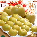秋栄梨 12-14玉 (約5kg) 鳥取産 秀品 あきばえ 梨 なし ナシ pear 光センサー 大玉 秋栄 食品 フルーツ 果物 和梨 赤梨 残暑見舞い ギフト お供え 御供え 甘い 人気 男性 女性 喜ばれる 2025 送料無料