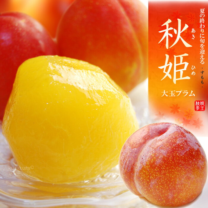 秋姫 プラム (1.6kg前後) 山梨産・山形産 秀品 あきひめ 国産 すもも スモモ ぷらむ plum 食品 フルーツ 果物 プラム 贈答 ギフト 残暑見舞い お供え 御供え 送料無料