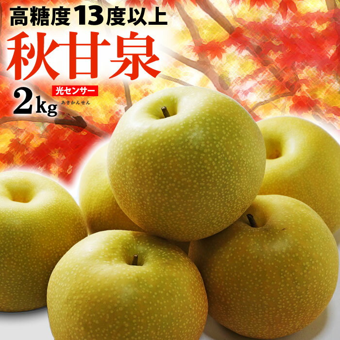 秋甘泉梨 5-6玉 (約2kg) 鳥取産 秀品 あきかんせん 梨 なし ナシ pear 光センサー 糖度13度以上 大玉 秋甘泉 食品 フルーツ 果物 和梨 残暑見舞い ギフト お供え 御供え ギフト 贈答 送料無料