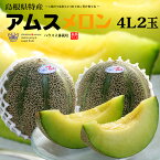 アムスメロン 4L×2玉 (約2.5kg) 島根産 赤秀 青肉 アムス メロン 益田 石見銀山 めろん melon 父の日 ギフト 贈答 高糖度 甘い ハウス立体栽培 お中元 御中元 御供え お供え 送料無料