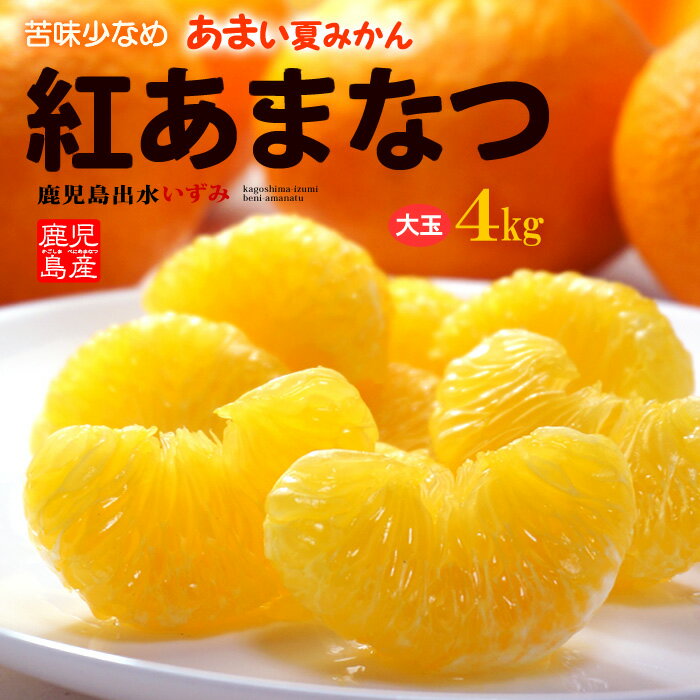 紅甘夏 みかん 2L-3L 約4kg 鹿児島産 秀品 紅あまなつ 紅甘夏 甘夏みかん あまなつ 甘夏 甘夏柑 みかん 夏みかん 4キロ 大玉 甘い 秀品 高糖度 鹿児島県 出水 食品 フルーツ 果物 みかん あま…