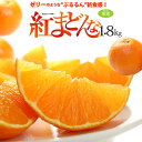 紅まどんな 3L(約1.5kg)愛媛産 秀品 贈答用 みかん...