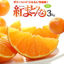 紅まどんな みかん 2L-3L×10〜12玉 (約3kg) 愛媛産 秀品 贈答用 べにまどんな 紅マドンナ ベニマドンナ みかん ミカン 蜜柑 柑橘 3キロ 食品 フルーツ 果物 みかん お歳暮 御歳暮 ギフト 贈答 お供え 御供え 甘い 人気 男性 女性 喜ばれる 2025 糖度 送料無料