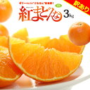 家庭用 訳あり 紅まどんな (約3kg) 愛媛産 べにまどんな 紅マドンナ ベニマドンナ みかん ミカン 蜜柑 柑橘 3キロ 食品 フルーツ 果物 みかん ワケアリ 訳アリ 甘い 人気 男性 女性 2025 糖度 送料無料