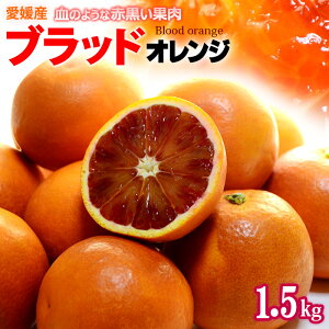 ブラッドオレンジ (L-2L/約1.5kg) 愛媛産 秀品 タロッコ 血 食品 フルーツ 果物 オレンジ ブラッドオレンジ タロッコオレンジ 甘い 高糖度 国産 ギフト 贈答 進物 御供え お供え 送料無料