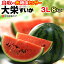 鳥取 大栄すいか 秀品 (3L×1玉) 鳥取産 スイカ 大栄スイカ すいか だいえい ダイエイ 西瓜 光糖度センサー 空洞検査 食品 フルーツ 果物 スイカ 贈答 ギフト 御中元 お中元 お供え 御供え 送料無料