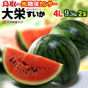 商品名 鳥取 大栄すいか（秀） 内容量 4Lサイズ（9.5-11kg）×2玉 産地 鳥取県 賞味期限 生ものですので、お届け後はなるべく早めにお召し上がり下さい。 目安として5日前後はお日持ちします。 保存方法 涼しい場所で常温保存 調理方法 お召し上がりの数時間前に冷蔵庫で冷やしてお召し上がり下さい。 送料 送料込 ※北海道・沖縄・離島地域への配送は追加1,200円が必要となります。 注意事項 　　 【配送業者：ヤマト運輸】 特記事項 ●お客様のご都合により商品のお受け取りができない場合、送料・商品代をご負担いただく場合がございます。ご了承の上、ご注文ください。 【検索キーワード】 スイカ、すいか、西瓜、鳥取すいか、鳥取県産、高糖度、糖度、秀品、大栄すいか、大栄スイカ、大栄、お中元、ギフト、夏ギフト、のし紙 ▼すいか特集はコチラ【鳥取大栄スイカ4L2玉】 光糖度センサー＆空洞検査クリア!! 鳥取県産の大栄すいか ・関西でおいしいスイカと言えば、大栄(だいえい)スイカ！ 古くは明治時代に「大山すいか」として市場で好評を博したのが始まり。京阪神市場を中心に親しまれてきたブランド西瓜です。出荷量は全国第4位！でも品質は日本随一です。 こちらの鳥取大栄スイカは、実を割らずに果肉の糖度を計測できる新鋭の光糖度センサー選別機で基準をクリアした厳選品！ 当店の実測で、平均すると糖度12.5度クラスの甘さ！ハズレのない確かな甘味はさすが“味の大栄”ブランドです。 さらに、光センサーによる空洞検査クリア済みで、実詰まりも確か！切ったらスカスカ!?ボソボソ？なんて心配もしなくていいんです。 ・おいしいスイカ選びのコツは、旬の産地を選ぶこと。ピークを過ぎた産地より、今がピークの産地を選ぶほうが懸命かつ確実ですよ♪当店がお薦めする“旬の全国すいかリレー”は5月熊本→6月鳥取→7月信州長野→8月山形尾花沢です。 ・鳥取大栄スイカの最盛期6月 ハウス施設栽培が主で、例年シーズンインは5月末頃。6月をピークに7月初旬頃まで続きます。鳥取大栄スイカは父の日ギフト、早めのお中元にピッタリです。 ▼ この様な梱包でお届け ▼ ・大栄スイカのサイズはお決まりですか？ 例えば、店頭販売で見かける小玉スイカ（ひとりじめ等）は重さ2kg程が目安となります。 ご案内（現在のページ）の大玉スイカは4Lサイズ、 1玉の重さ9.5kg以上〜11kg未満の規格です。 4L玉は驚きさえ覚える見事な大玉！運ぶのも切るのも一苦労する♪子供も大人も、いい思い出になる特大玉です。 生産者さん達の努力と光センサー設備で厳選した“ハズレなしの大栄スイカ”をお届けします。初夏の贈り物、父の日ギフト、お中元などにどうぞ。 スイカの配送は安全第一！輸送事故が起きないように 緩衝材をしっかり詰めて巻いて、厳重に梱包お届けします。 光糖度センサー＆空洞検査クリア!! ハズレなしの高品質選果品 【鳥取大栄スイカ4L2玉】 子供も大人もいい思い出になる♪特大玉