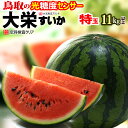 商品名 鳥取 大栄すいか（秀） 内容量 特サイズ（11kg以上）×1玉 産地 鳥取県 賞味期限 生ものですので、お届け後はなるべく早めにお召し上がり下さい。 目安として5日前後はお日持ちします。 保存方法 涼しい場所で常温保存 調理方法 お召し上がりの数時間前に冷蔵庫で冷やしてお召し上がり下さい。 送料 送料込 ※北海道・沖縄・離島地域への配送は追加1,200円が必要となります。 注意事項 　　 【配送業者：ヤマト運輸】 特記事項 ●お客様のご都合により商品のお受け取りができない場合、送料・商品代をご負担いただく場合がございます。ご了承の上、ご注文ください。 【検索キーワード】 スイカ、すいか、西瓜、鳥取すいか、鳥取県産、高糖度、糖度、秀品、大栄すいか、大栄スイカ、大栄、お中元、ギフト、夏ギフト、のし紙 ▼すいか特集はコチラ【鳥取大栄スイカ特玉】 光糖度センサー＆空洞検査クリア!! 鳥取県産の大栄すいか ・関西でおいしいスイカと言えば、大栄(だいえい)スイカ！ 古くは明治時代に「大山すいか」として市場で好評を博したのが始まり。京阪神市場を中心に親しまれてきたブランド西瓜です。出荷量は全国第4位！でも品質は日本随一です。 こちらの鳥取大栄スイカは、実を割らずに果肉の糖度を計測できる新鋭の光糖度センサー選別機で基準をクリアした厳選品！ 当店の実測で、平均すると糖度12.5度クラスの甘さ！ハズレのない確かな甘味はさすが“味の大栄”ブランドです。 さらに、光センサーによる空洞検査クリア済みで、実詰まりも確か！切ったらスカスカ!?ボソボソ？なんて心配もしなくていいんです。 ・おいしいスイカ選びのコツは、旬の産地を選ぶこと。ピークを過ぎた産地より、今がピークの産地を選ぶほうが懸命かつ確実ですよ♪当店がお薦めする“旬の全国すいかリレー”は5月熊本→6月鳥取→7月信州長野→8月山形尾花沢です。 ・鳥取大栄スイカの最盛期6月 ハウス施設栽培が主で、例年シーズンインは5月末頃。6月をピークに7月初旬頃まで続きます。鳥取大栄スイカは父の日ギフト、早めのお中元にピッタリです。 ▼ この様な梱包でお届け ▼ ※【特】規格は上写真とは異なる産地元箱での梱包となります。 ・大栄スイカのサイズはお決まりですか？ 例えば、店頭販売で見かける小玉スイカ（ひとりじめ等）は重さ2kg程が目安となります。 ご案内（現在のページ）の大玉スイカは特サイズ、 1玉の重さ11kg以上〜の規格です。 特玉は驚きさえ覚える見事な大玉！大栄スイカの規格では最大サイズとなります。笑えるほど大きなサイズですよ♪夏の思い出にピッタリ！ 生産者さん達の努力と光センサー設備で厳選した“ハズレなしの大栄スイカ”をお届けします。初夏の贈り物、父の日ギフト、お中元などにどうぞ。 スイカの配送は安全第一！輸送事故が起きないように 緩衝材をしっかり詰めて巻いて、厳重に梱包お届けします。 光糖度センサー＆空洞検査クリア!! ハズレなしの高品質選果品 【鳥取大栄スイカ特玉】 スペシャルな特大規格