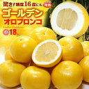 ゴールデンオロブロンコ Mサイズ小玉(18玉)カリフォルニア...