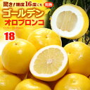 ゴールデンオロブロンコ(16-20玉/約6kg)カリフォルニア産 グレープフルーツ 食品 フルーツ 果物 グレープフルーツ 高糖度 送料無料