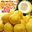 訳ありゴールデンオロブロンコ Mサイズ小玉(36玉)カリフォ...