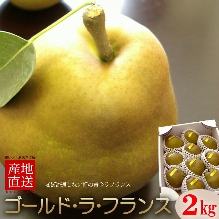 ゴールドラフランス (約2kg) 山形産 贈答用 洋梨 西洋梨 ゴールド ラ・フランス らふらんす pear 食品 フルーツ 果物 洋梨 お歳暮 御歳暮 ギフト 進物 お供え 御供え 送料無料