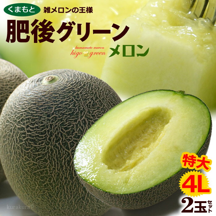 肥後グリーン メロン 4L×2玉 (約4kg) 熊本産 大玉