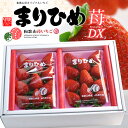 まりひめ いちご デラックス (約300g×2P) 和歌山産 秀品 まりひめDX まりひめ まり姫 毬姫 毬ひめ マリヒメ マリ姫 贈答 ギフト いちご 苺 イ...