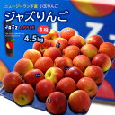 りんご jazz りんご (約4.5kg) ニュージーランド産 ジャズ りんご リンゴ 林檎 jazz apple 食品 フルーツ 果物 輸入 高糖度 甘い ジャズりんご 小玉 送料無料