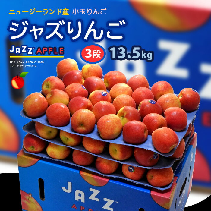 りんご jazz りんご (約13.5kg) ニュージーランド産 ジャズ りんご リンゴ 林檎 jazz apple 食品 フルーツ 果物 輸入 高糖度 甘い ジャズりんご 小玉 送料無料