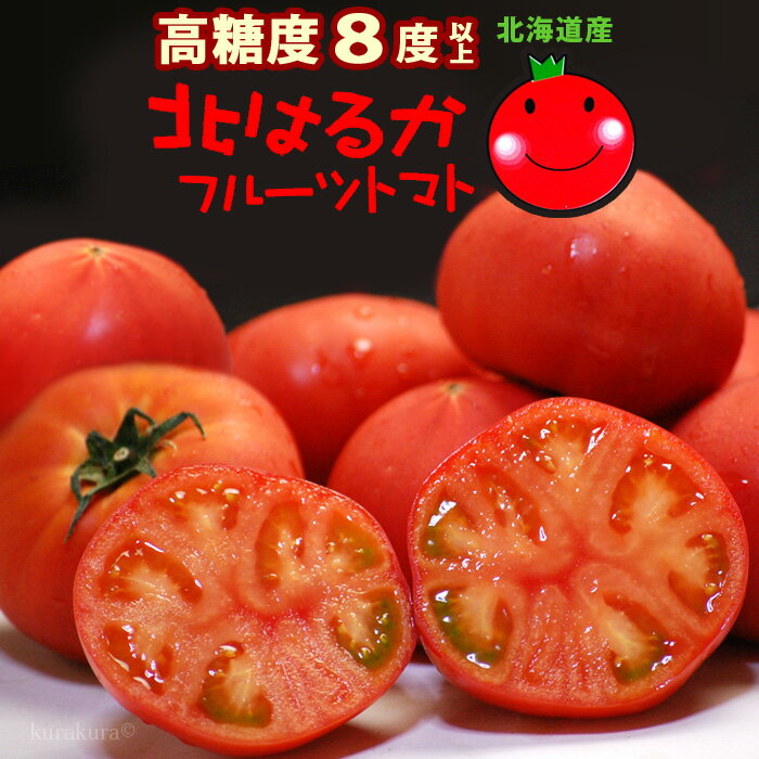 はるかエイト (約900g) 北海道産 はるか8 北はるか トマト とまと tomato フルーツ フルーツトマト 糖度8度以上 夏のフルーツトマト 高糖度 甘い 食品 野菜 きのこ トマト ギフト 贈答 御供え お供え 送料無料のサムネイル